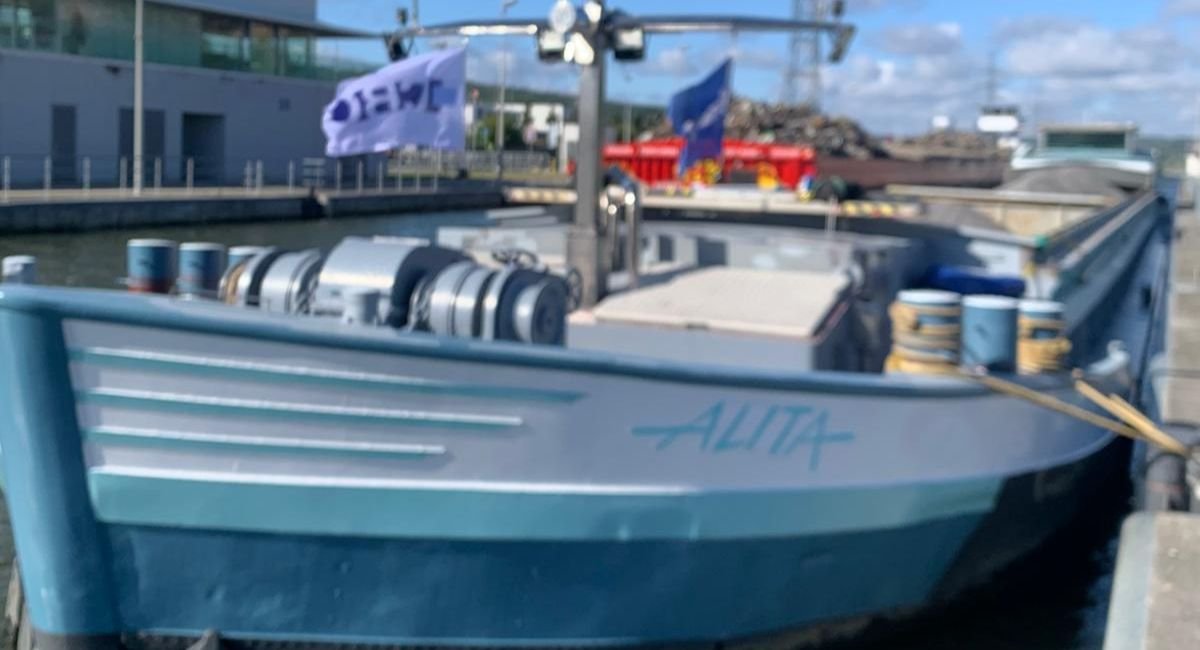 MS Alita